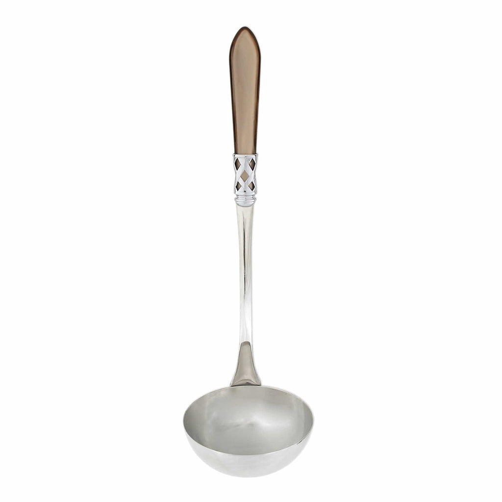 Aladdin Brilliant Soup Ladle